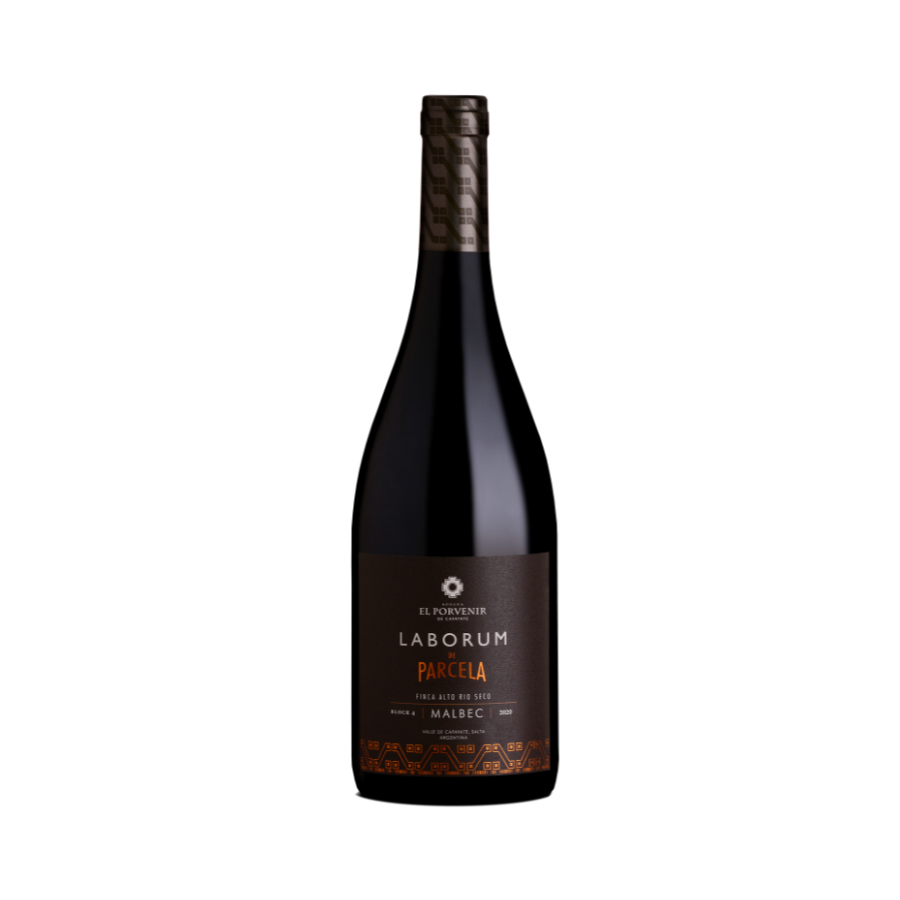 Laborum de Parcela Malbec Alto Rio Seco 2020 2